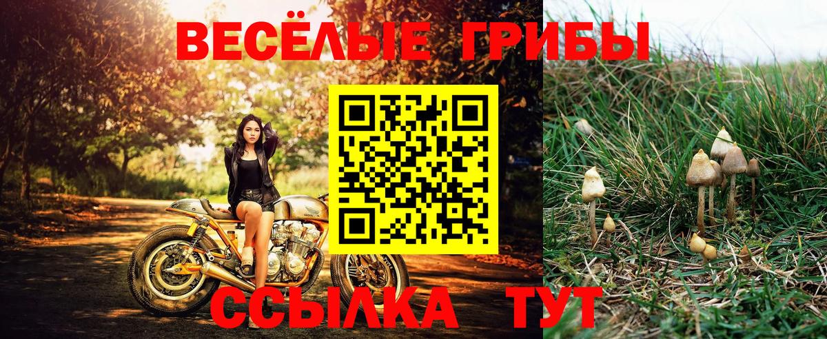 Псилоцибиновые грибы Magic Shrooms  Вход с VPN  Галлюциногенные грибы MAGIC MUSHROOMS  Нововоронеж 